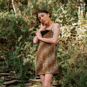 May include: A woman wearing a brown and black animal print mini dress with a fur trim. She is standing on a set of stone steps in front of a lush green background.