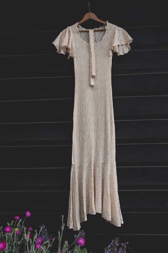 Champagne Lace 30's Dress | 1930's Vintage Blush … - image 7