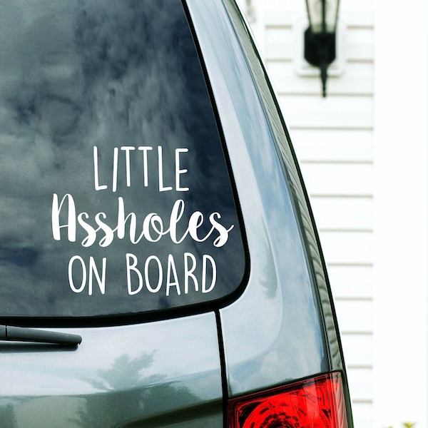 Little Assholes On Board Custom Vinyl Decal Sticker - Choose your Color and Size - Mom Car Decal - Minivan Decal - Funny Mom Decal Mom Life