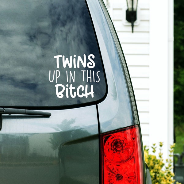 Twins Up In This B*tch Custom Vinyl Decal Sticker - Choose your Color and Size - Twin Mom Car Decal - Minivan Decal - Momma Bear - Mama Bear