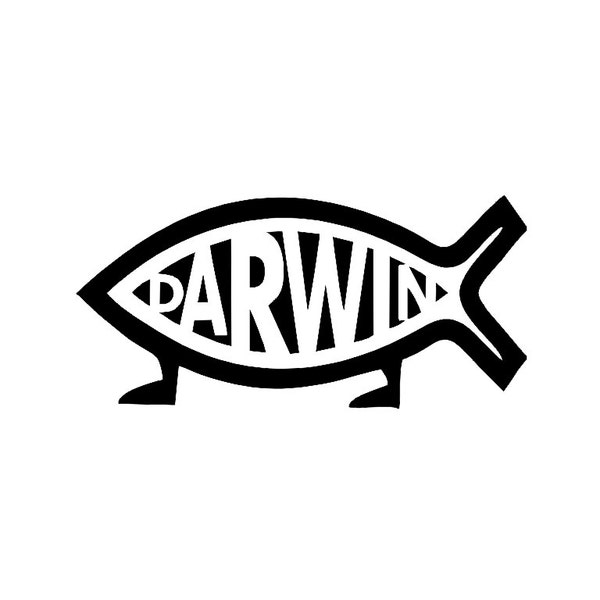 Darwin Fish Etsy