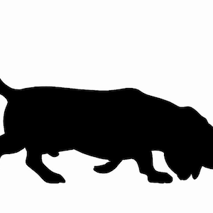 Pode incluir: Silhueta preta de um c&atilde;o basset farejando o ch&atilde;o.