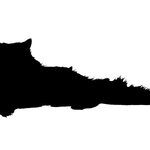 May include: Silhouette of a long-haired cat lying down with its head turned to the side.