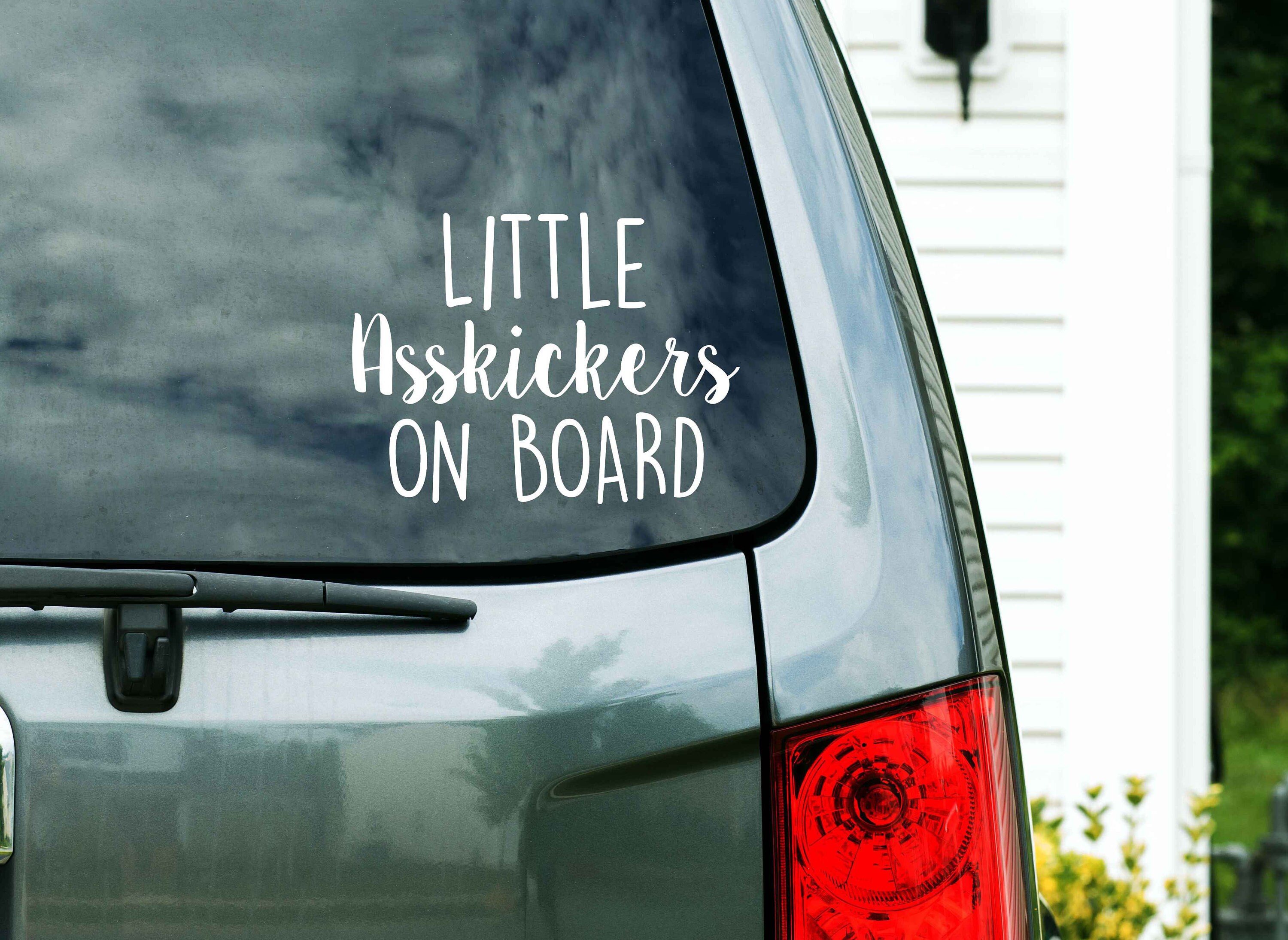 PRINCESS UP IN THIS BITCH Vinyl Decal Sticker Car Window Truck Minivan 