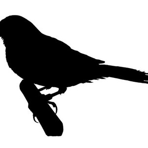 Finch v2 Silhouette Vinyl Decal Sticker - Choose your Color and Size