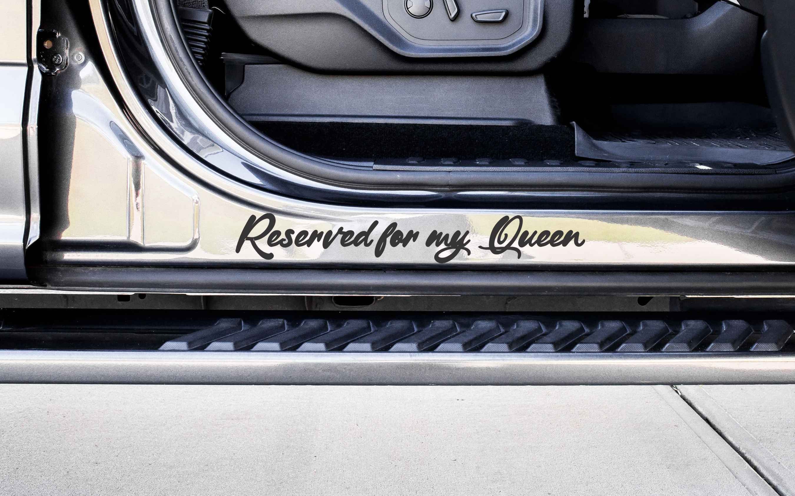 Custom only. Passenger Princess наклейка.