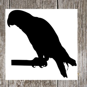 African Grey Parrot Silhouette Custom  Vinyl Decal Sticker - Choose your Color and Size