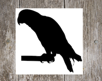 African Grey Parrot Silhouette Custom  Vinyl Decal Sticker - Choose your Color and Size