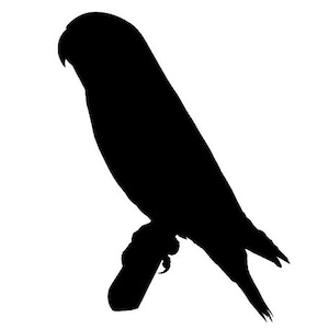 Lovebird Silhouette Custom  Vinyl Decal Sticker - Choose your Color and Size