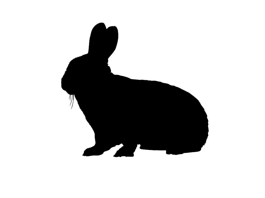 Hase Hase Silhouette individuelle sterben Schnitt Vinyl
