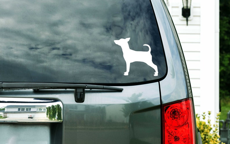 Puede incluir: Una silueta blanca de un perro peque&ntilde;o, posiblemente un chihuahua, se muestra en la ventana trasera de un coche plateado. El perro est&aacute; mirando hacia la izquierda y tiene la cola enroscada.