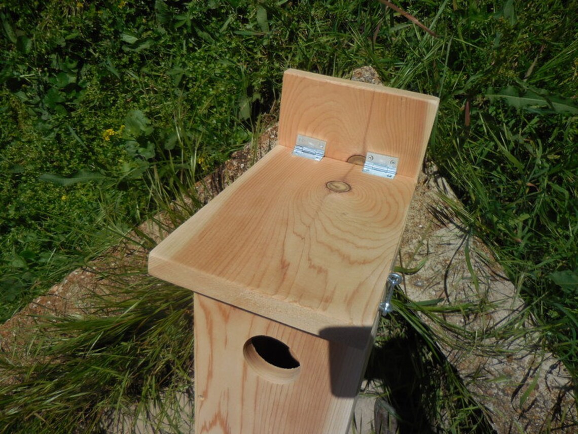 Northern Flicker Nesting Box - Etsy