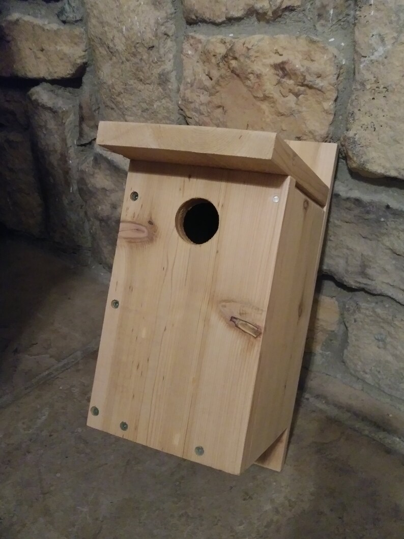 Swallow Nesting Box Etsy