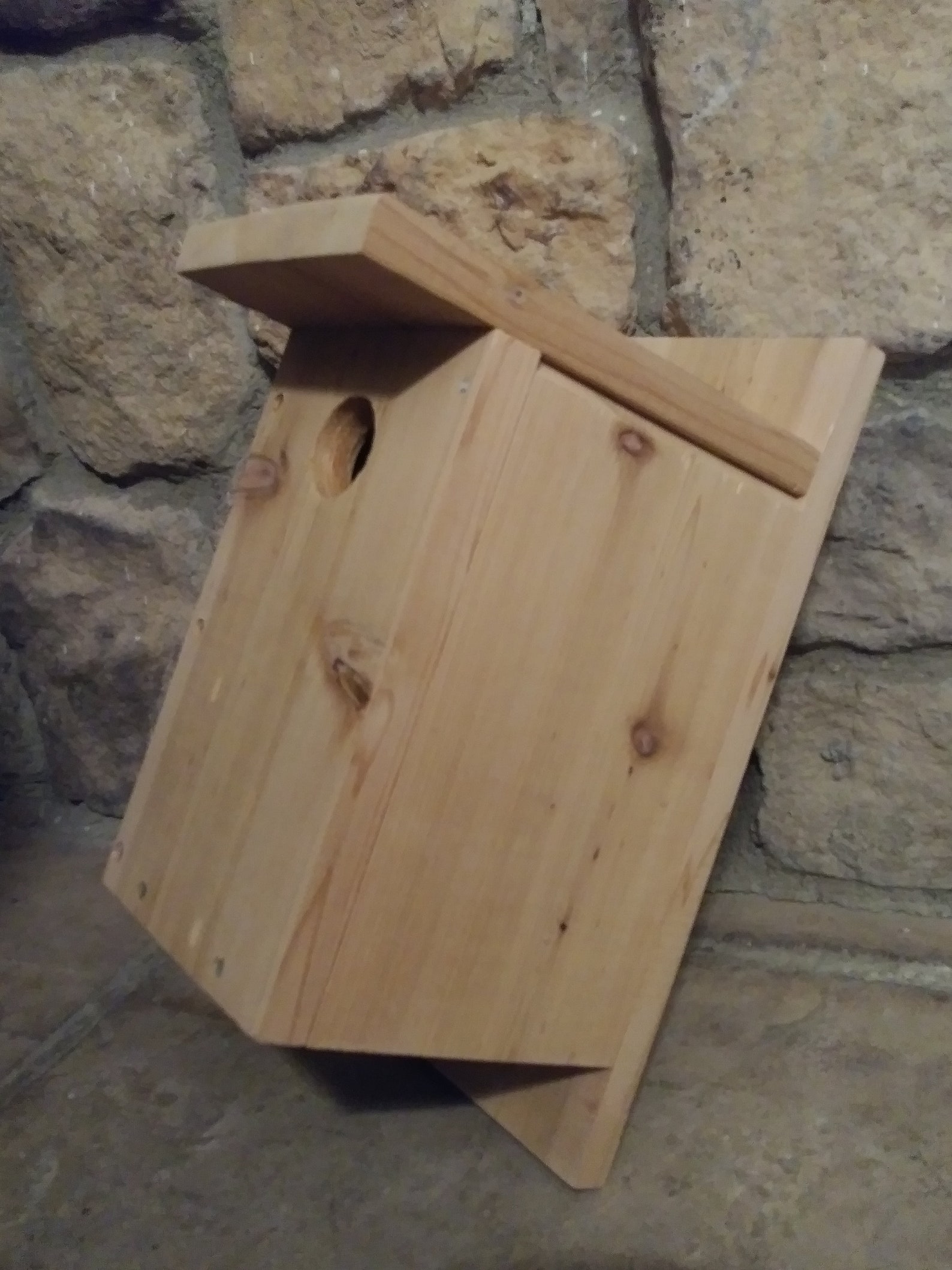 Swallow Nesting Box Etsy