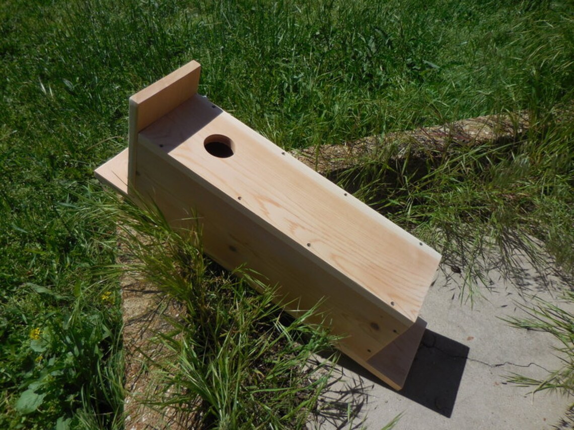 Northern Flicker Nesting Box - Etsy