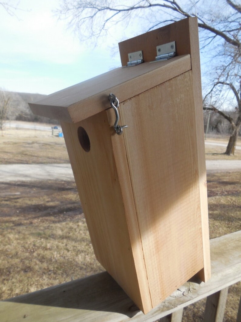 Yellow Bellied Sapsucker Nesting Box - Etsy