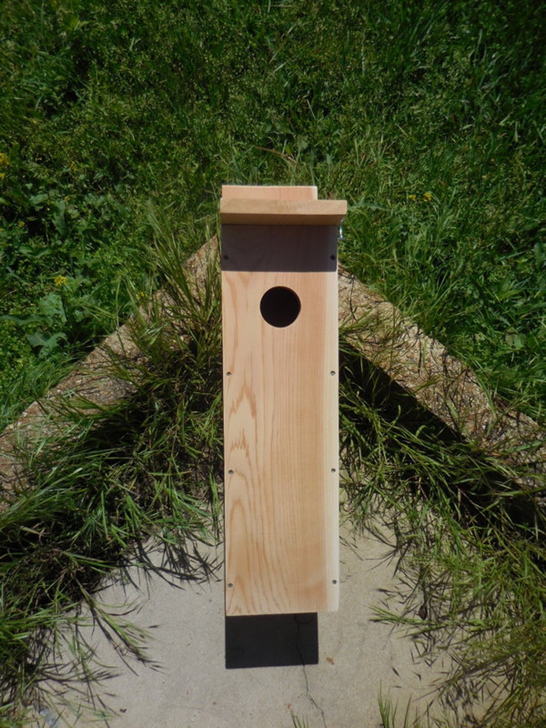 Northern Flicker Nesting Box - Etsy