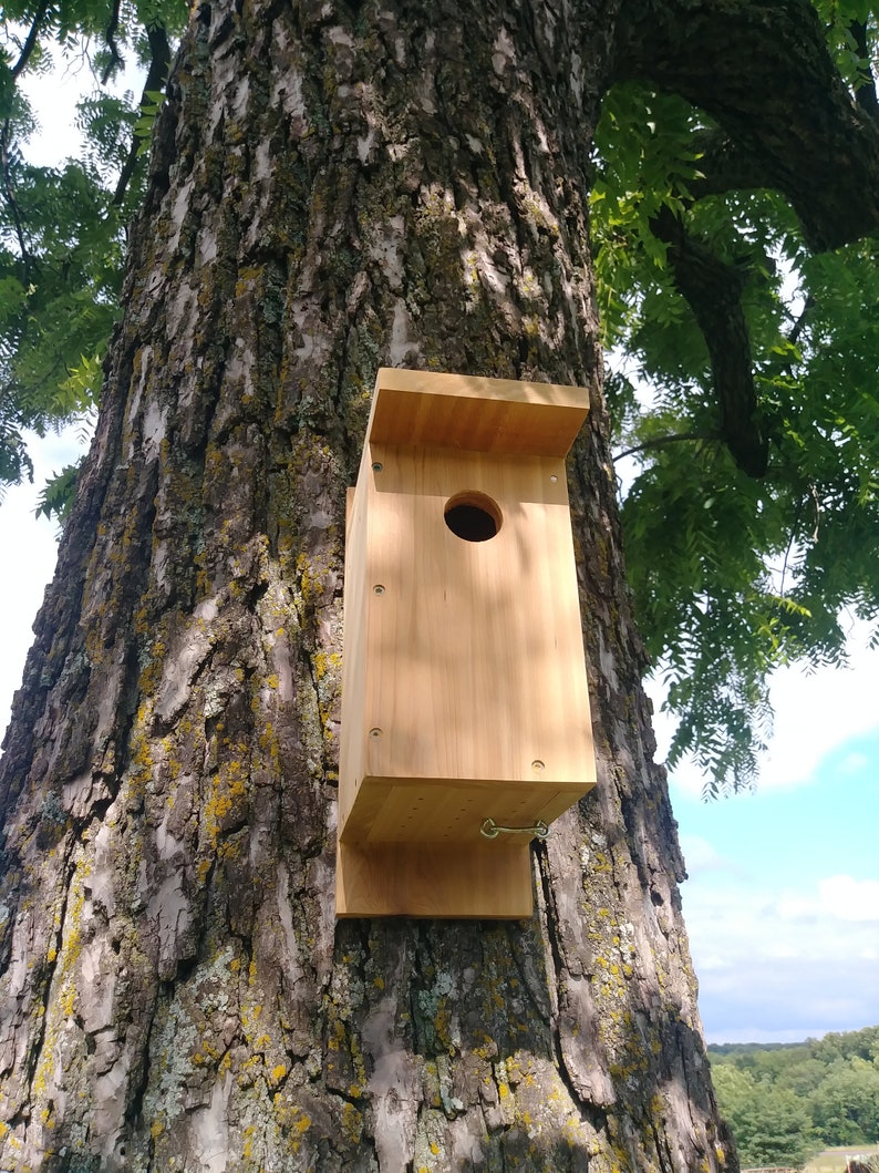 Blue Bird Nesting Box Etsy