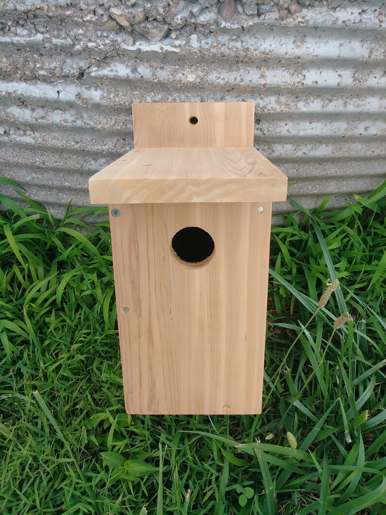 Blue Bird Nesting Box Etsy