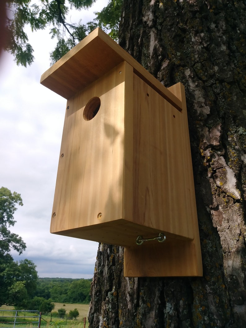 Blue Bird Nesting Box Etsy