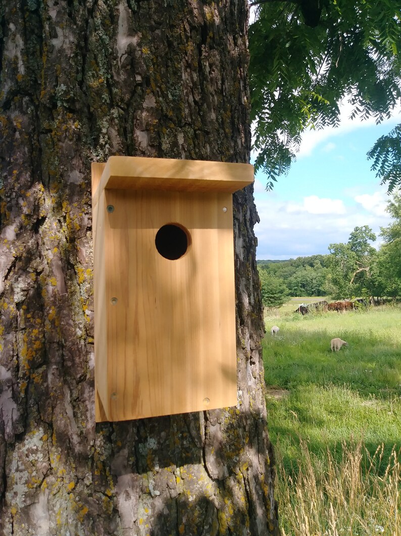 Blue Bird Nesting Box Etsy