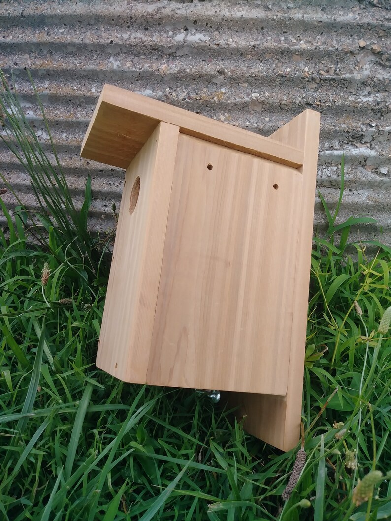 Blue Bird Nesting Box Etsy