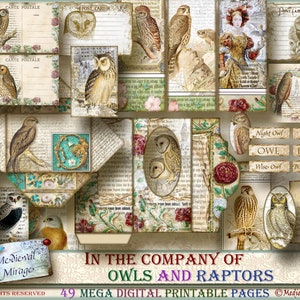 Add On pour: En compagnie de OWLS & RAPTORS. Oiseaux de proie à thème médiéval. Oiseaux des bois. 47 pages imprimables numériques chargées d’éléments