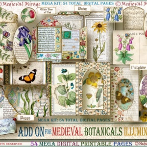 Medieval Botanical - 20 Pages Botanical Illustrations