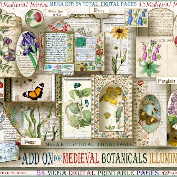 ADD On for MEDIEVAL BOTANICALS Illuminated: 54 Digital Printable Pages. Renaissance Mega Journal Kit. Botany; Flora; Flowers; Manuscript.