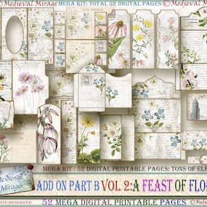 Add On PART B for Vol 2: A FEAST of FLORALS. Mega Digital Journal Kit. 52 Digital Pages loaded with decorative elements. Shabby Vintage.