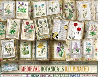 MEDIEVAL BOTANICALS Illuminated: 51 Digital Printable Pages. Renaissance Mega Junk Journal Kit. Botany; Flora; Flowers; Manuscript; Antique