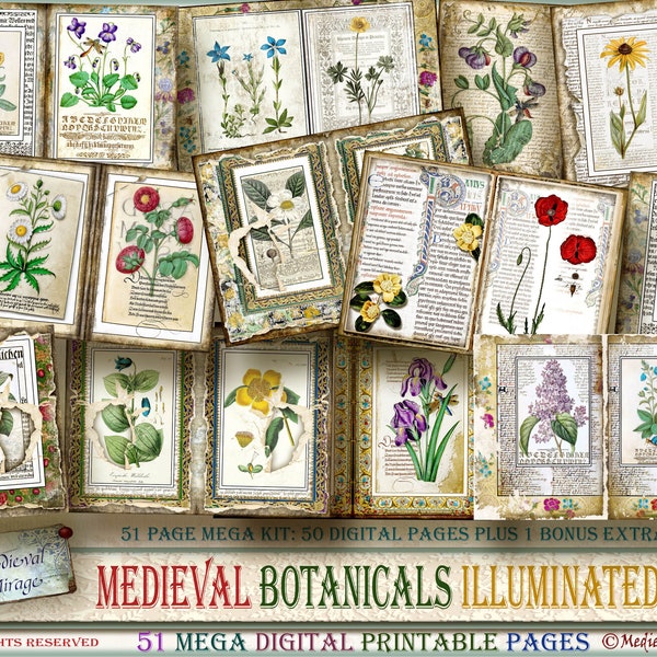 MEDIEVAL BOTANICALS Illuminated: 51 Digital Printable Pages. Renaissance Mega Junk Journal Kit. Botany; Flora; Flowers; Manuscript; Antique