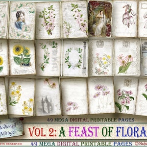 Vol 2: A FEAST of FLORALS. 49 digital printable decorative pages. Mega Journal Kit. Antique, Vintage, Shabby. Botanical. Blossoms. Sunflower