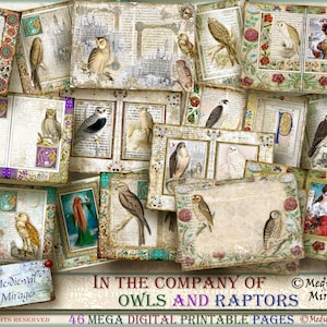 In the COMPANY of OWLS & RAPTORS. Birds of Prey, woodland, forest birds medieval themed digital journal kit. 46 printable decorative pages