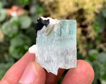 パキスタンのシガール・スカルドゥ産天然アクアマリンクリスタル