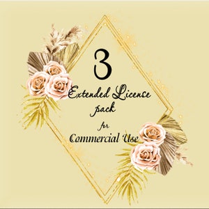 Extended license- pack of three for Commercial Use, No-Cretid, for THREE collection, Digital Paper