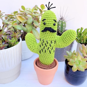 CROCHET PDF PATTERN: Curtis the Cactus | amigurumi cacti, crochet cacti, amigurumi cactus, crochet cactus, amigurumi plant, crochet plant
