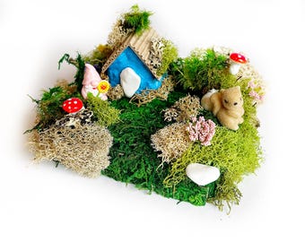 Creative Party for 6 Guests - Gnome Home Open Terrarium