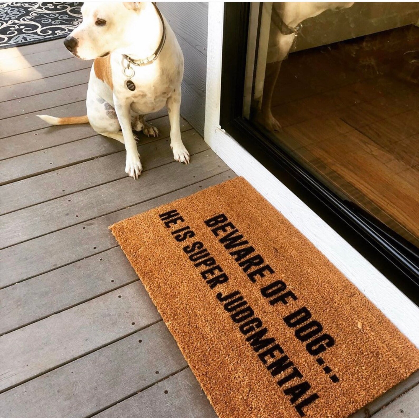 Beware of Dog Doormat Dog Lover Doormat Dog Mat Gift for Etsy