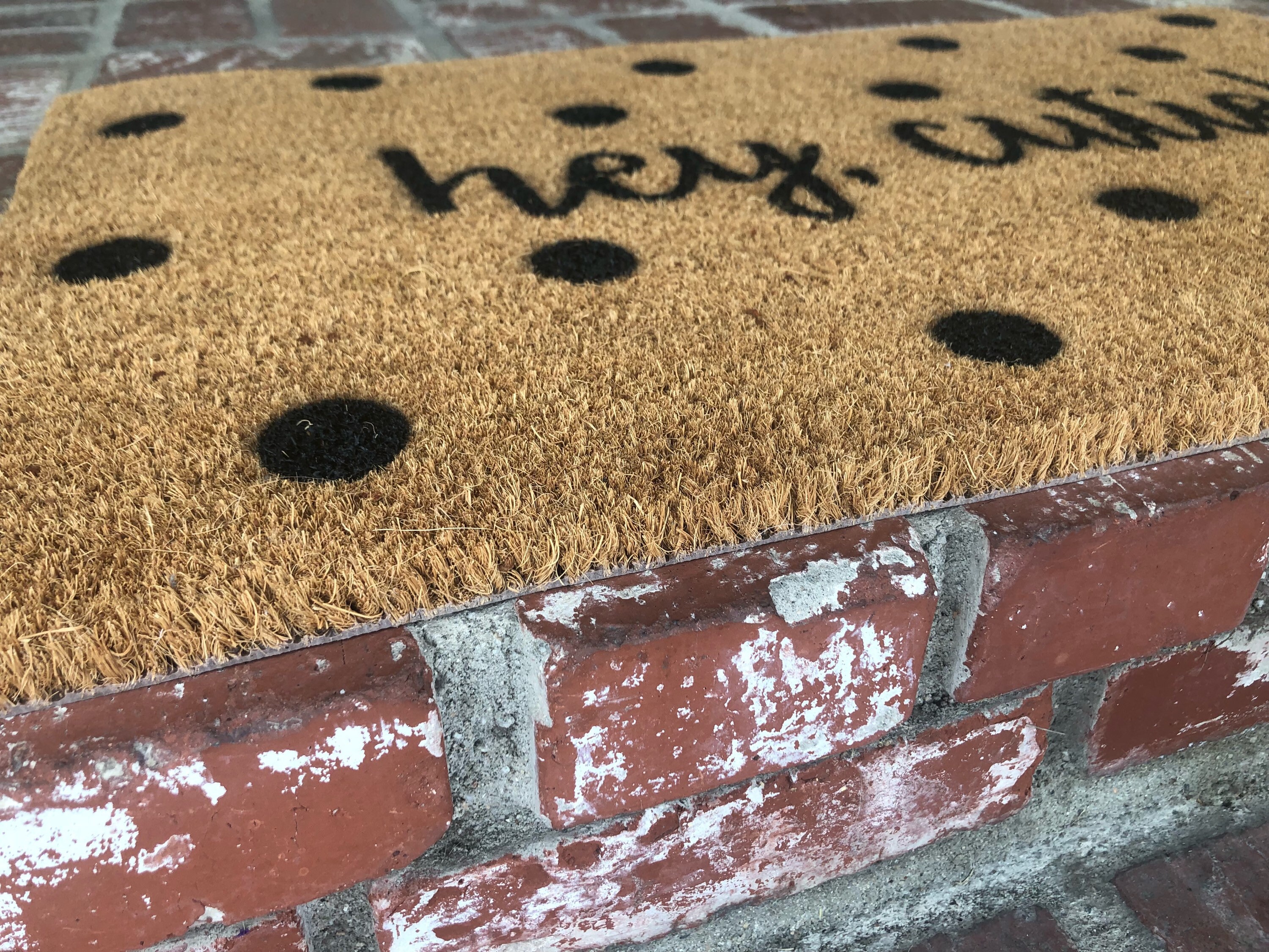 Hey Cutie Doormat Polk A Dot Doormat Cute Doormats Custom Etsy