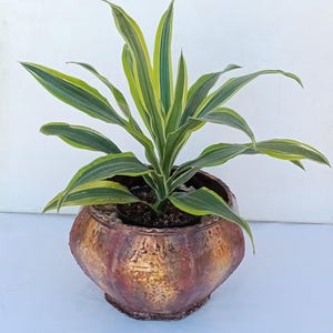Large Copper Pottery Vase, Tabletop Size, Heavy Duty with Hammered Texture and Wavy 3D Decorative Rim (new and 1 in-stock)