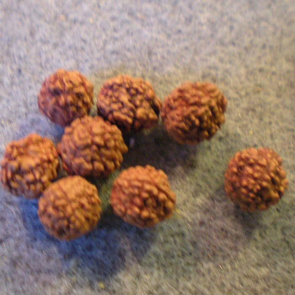 LOT DE 10 perles RUDRAKSHA du Népal rondes végétales 6 mm ou 8 mm + 4 perles originales offertes