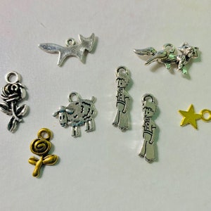 LOT of 8 + 2 FREE “theme: The Prince” charms in silver metal