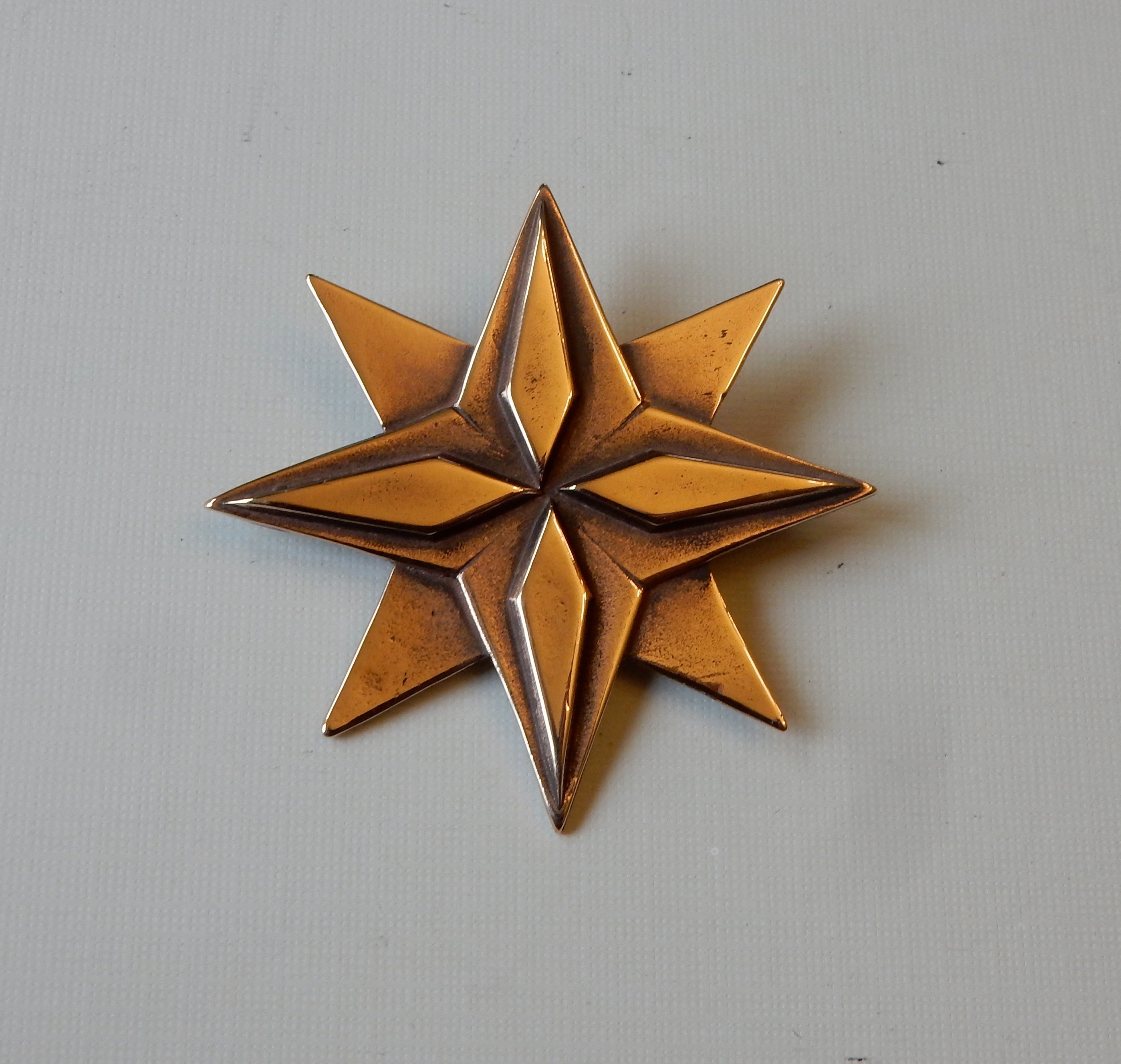 Dúnedain Star Brooch or Pendant: Lord of the Rings Inspired