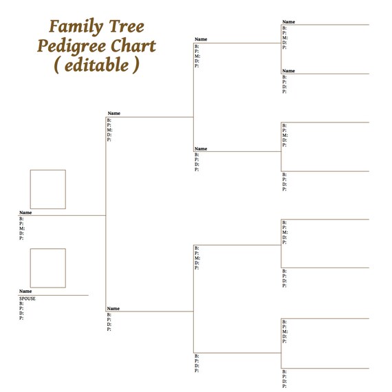 4 Generation Pedigree Chart