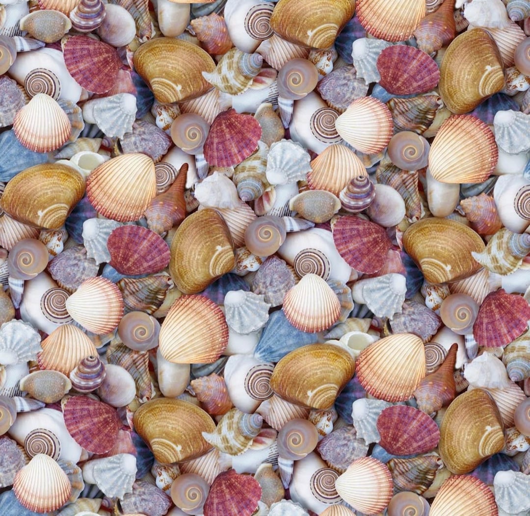 Windham Fabrics Shellabrate 52177D-X Cotton Fabric - Etsy