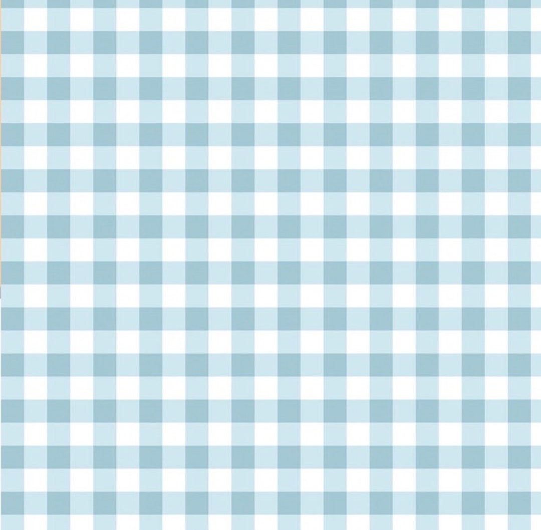 Riley Blake Simply Country Gingham C13413-DREAM Light Blue