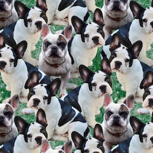 Frenchie Grass Packed Fabric Davids Textiles for Foust DX-4267-3C-1 Cotton Fabric