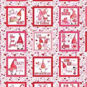 Kanvas Studios Gnomie Love Be my Gnome patchwork Valentines Day on pink background 24” PANEL Cotton Fabric