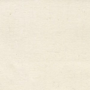 May include: A plain white canvas fabric with a subtle texture. The fabric is smooth and has a slightly off-white color.